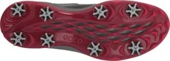 Ecco Men's Biom G3 BOA Fit Golf Shoes -Golf Equipment Store EccoBiomG3BOA Black3